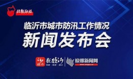 临沂负面新闻爆料事件视频,真相与争议交织