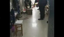 爆料女生宿舍视频大全免费观看,免费观看视频大全大揭秘
